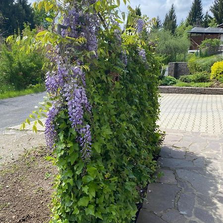 Fewo Marielle Seeboden Dış mekan fotoğraf