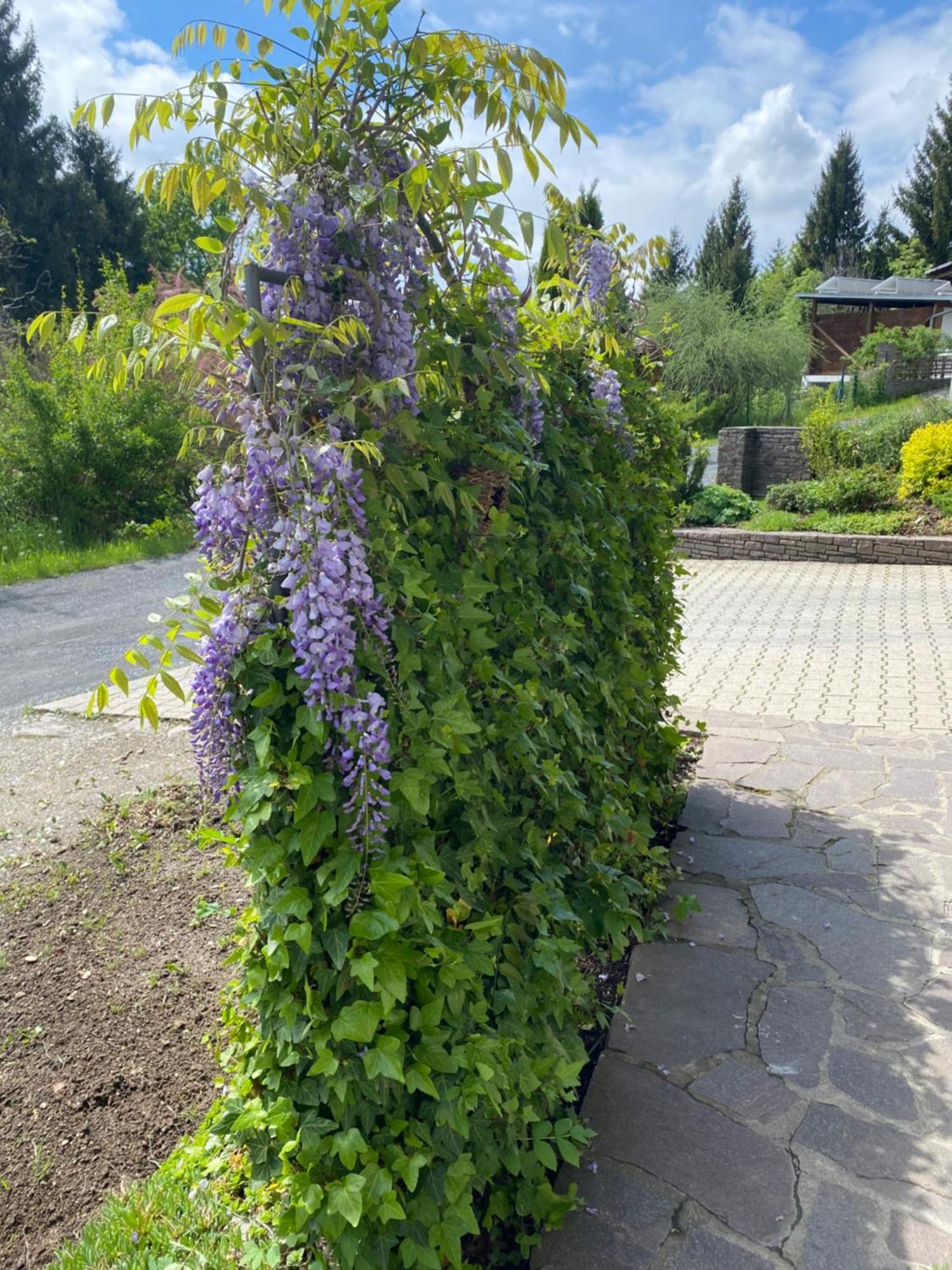 Fewo Marielle Seeboden Dış mekan fotoğraf